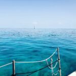 269854309_4846540195410689_7012561331669694733_n