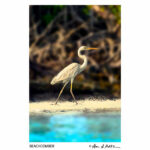 271035586_10160274459899645_4250929494251731495_n