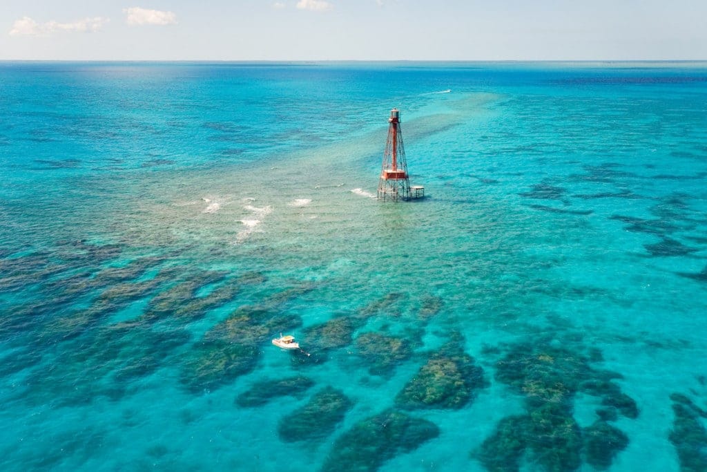 271199346_4851417288215042_4133730705703271080_n