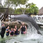 271543612_4436855209777548_668883835077109349_n