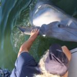 271640036_4439395109523558_6253227707527771489_n