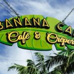 31131474_10156165487848213_8977096634680450288_n