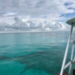 34962500_1701481623280638_986022447033614336_n