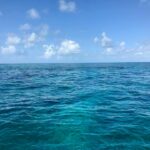 36463601_1731082703653863_5080765991261044736_n