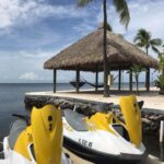 40377621_1828153207280145_2232559953632034816_n