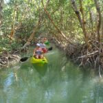 418278_10101593156668200_102195080_n