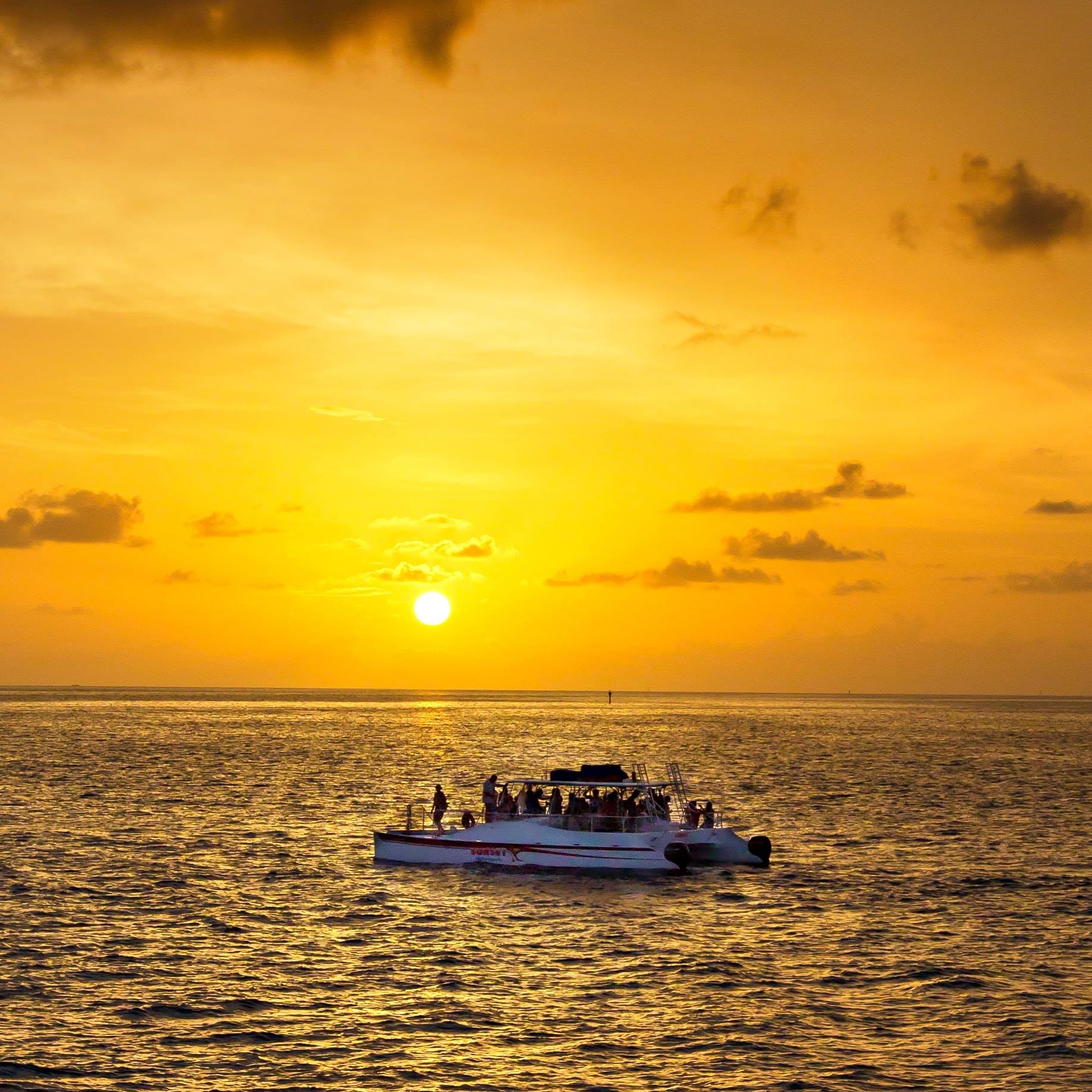 42713197_1202033783287424_1046921290834771968_n