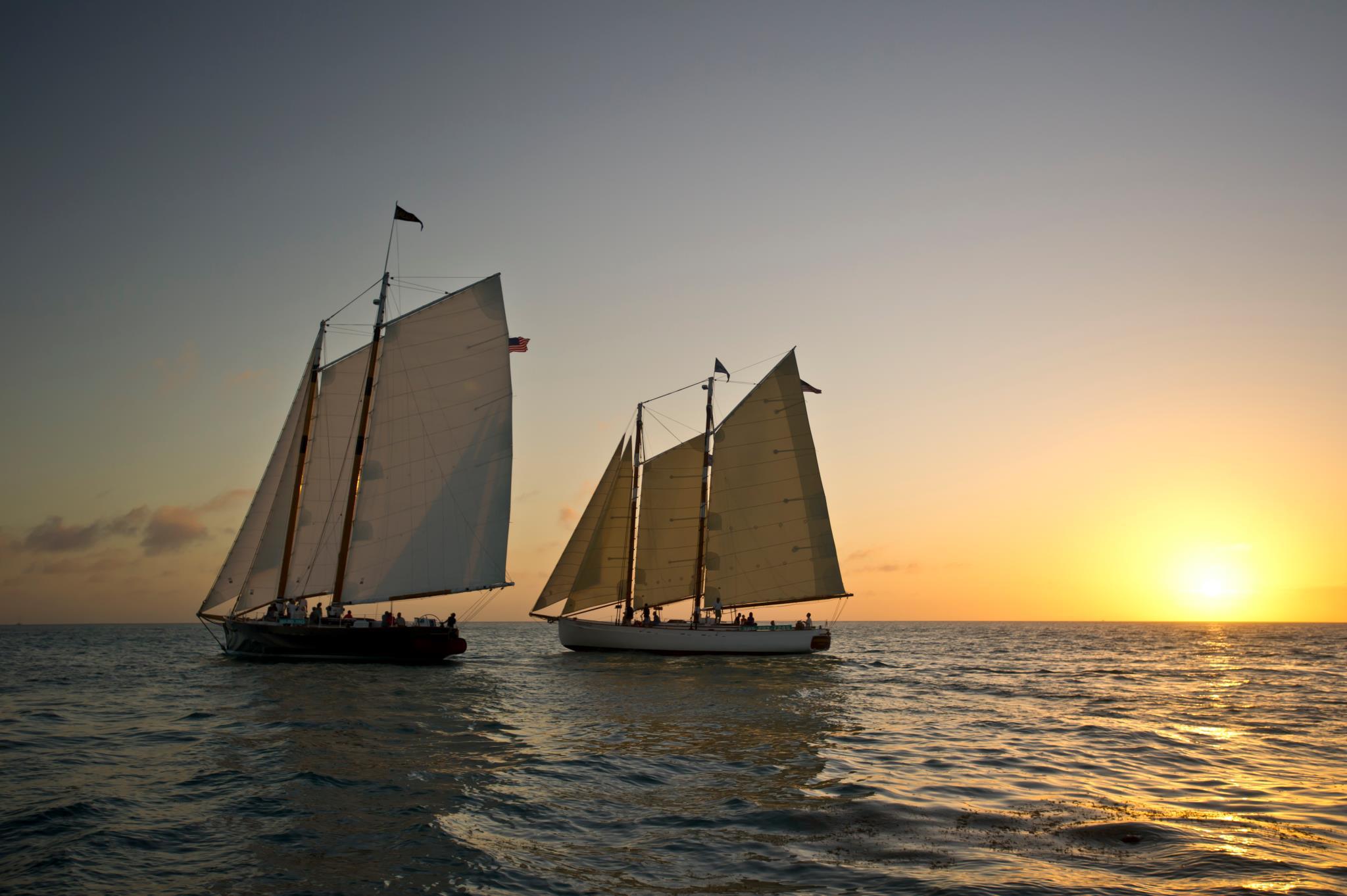 461262_354310737936547_1505950284_o