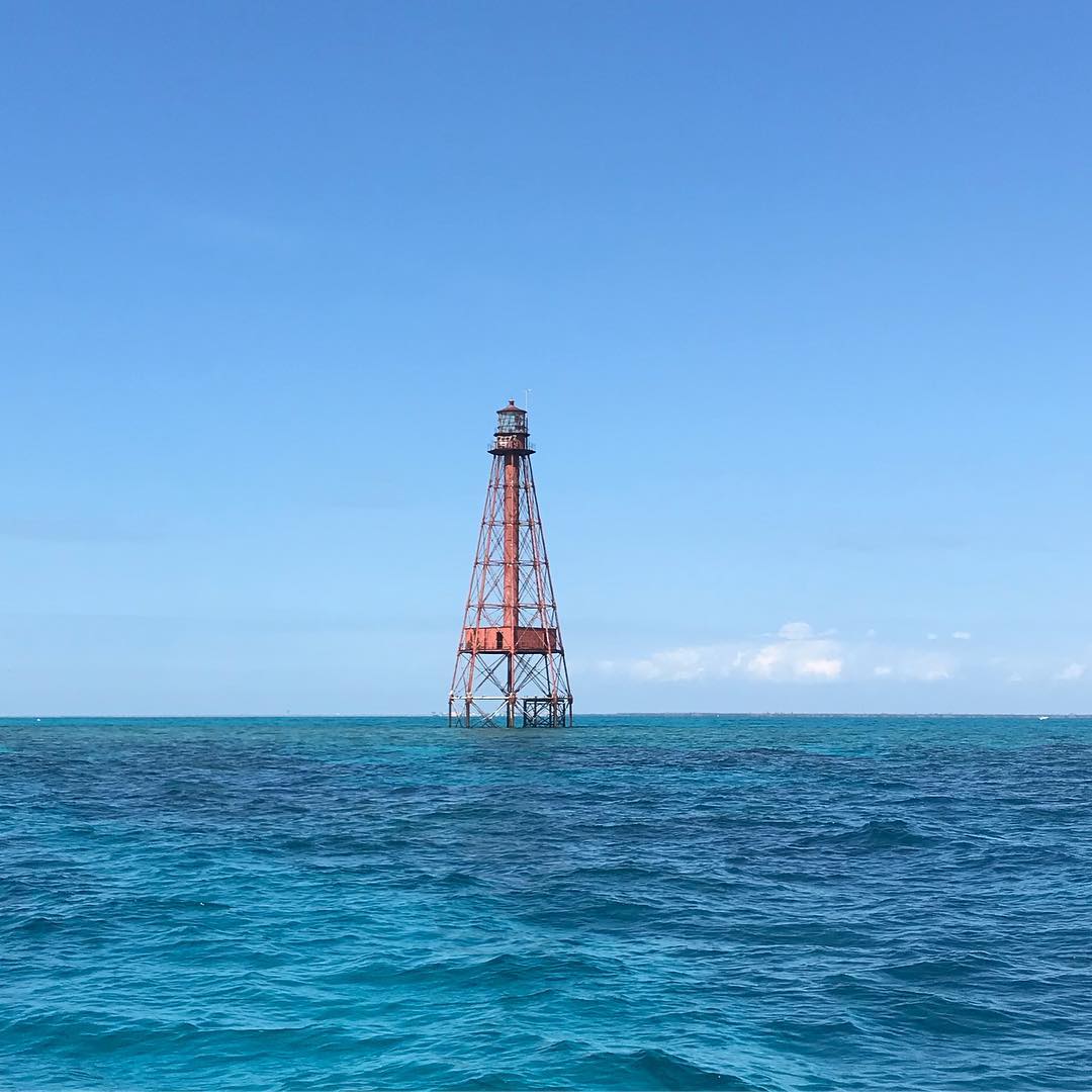 48384924_1993069667446599_6523648421717344256_n