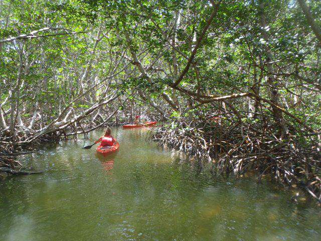 486754_365021143609772_1674447250_n