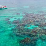 49324226_2012897532091416_1268322117594644480_n