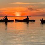 50507905_2401756313178258_5164862425874300928_n