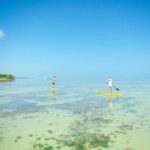 50652026_2184957411568169_1384725592561156096_n