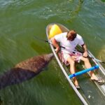 51344590_2063917300328384_5799699003570388992_n