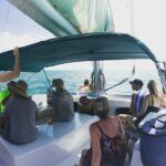 52591479_2470260052988617_6520884416988839936_n