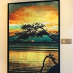 53586710_10157391400374645_5789251156320452608_n