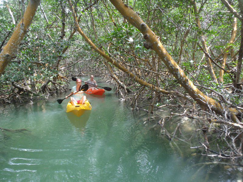 537333_10101841651487590_347090726_n