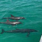 53828729_2492860250728597_1925770285059932160_n