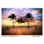 54524790_10157436168974645_1274473116352905216_n