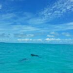 581613_695736823774291_212904717_n