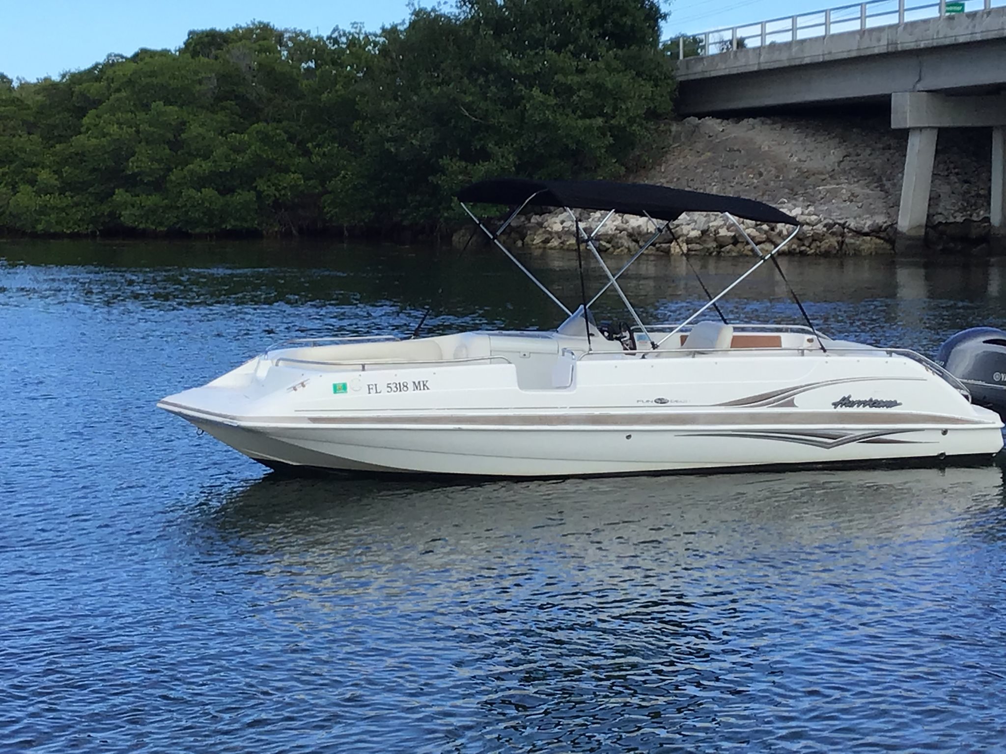 61913184_2290315531048690_5081888115891634176_n