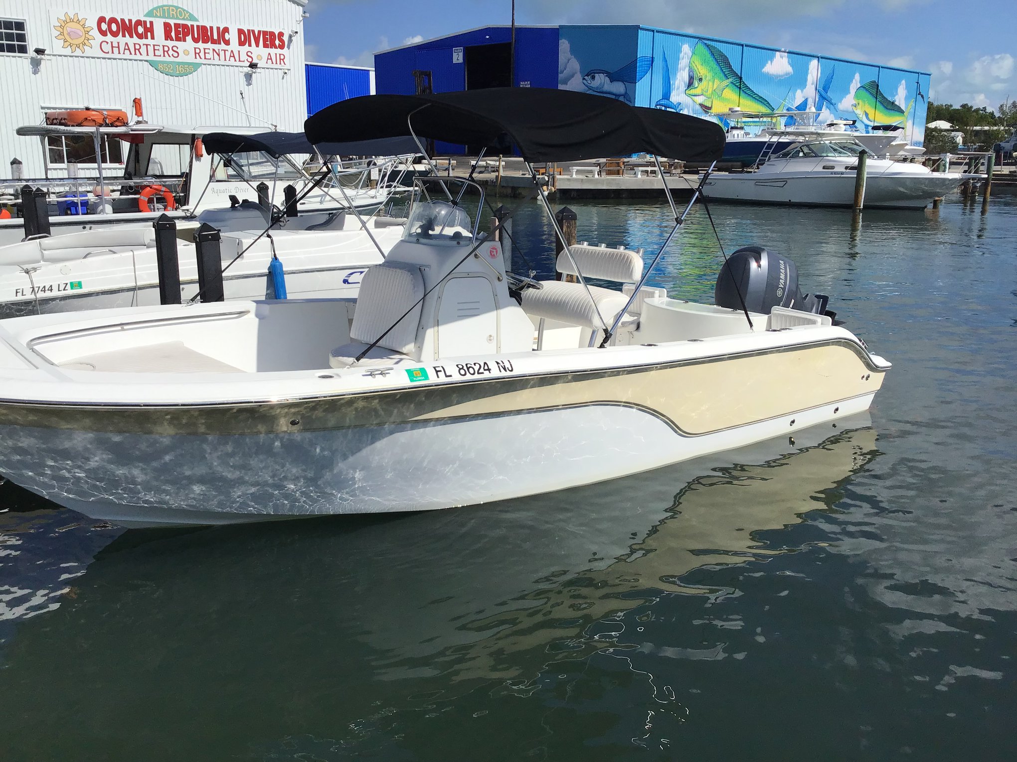 62009504_2292135650866678_4348931399705690112_n