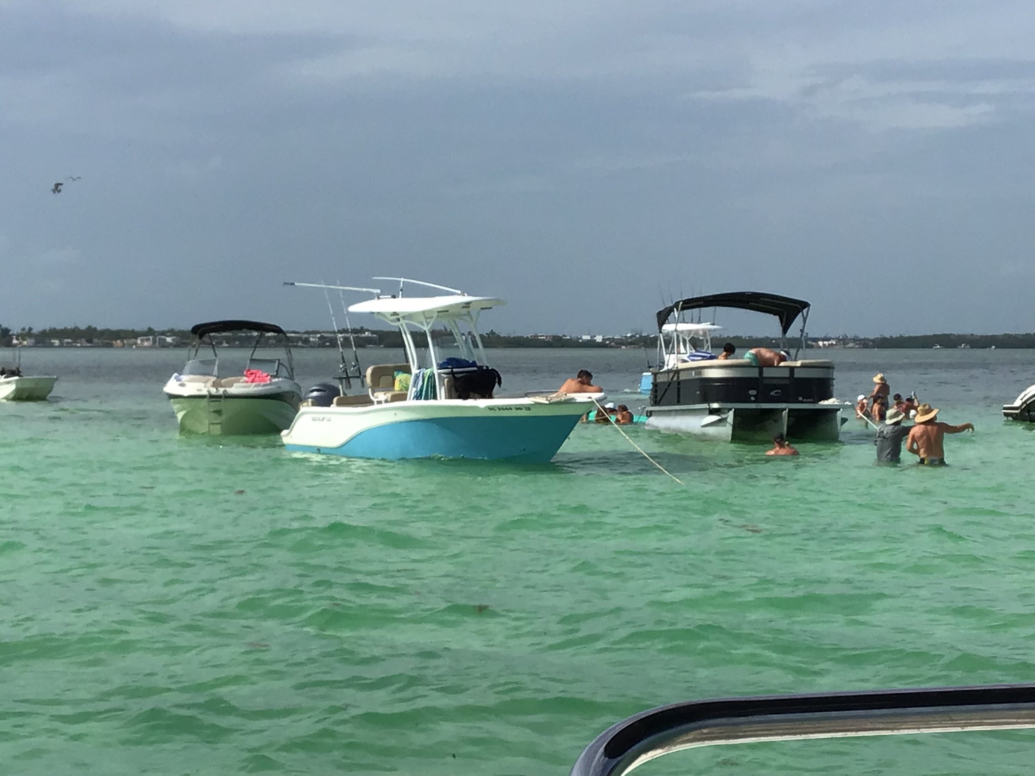 62254077_2298574976889412_4126072109426278400_n