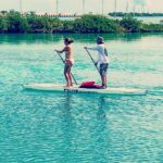 70733612_423908931460272_6384629160798584832_n