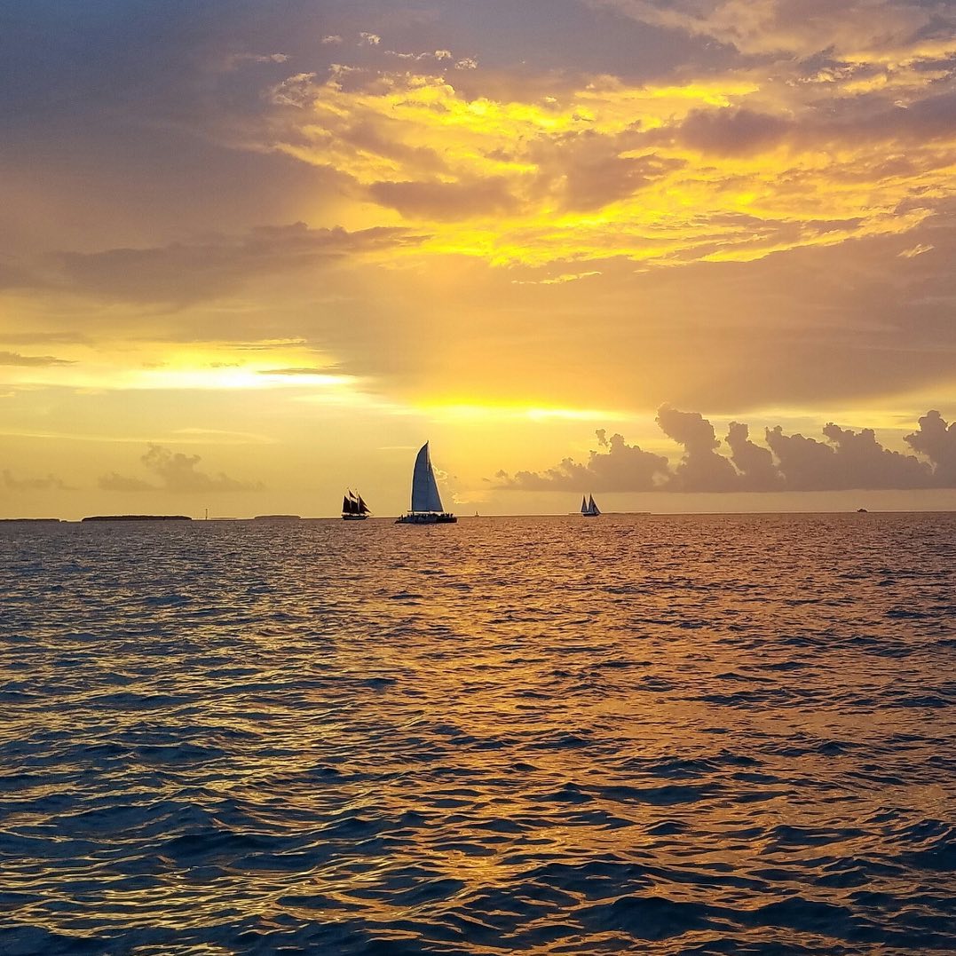 71288231_1492528864237913_5644372597937274880_n