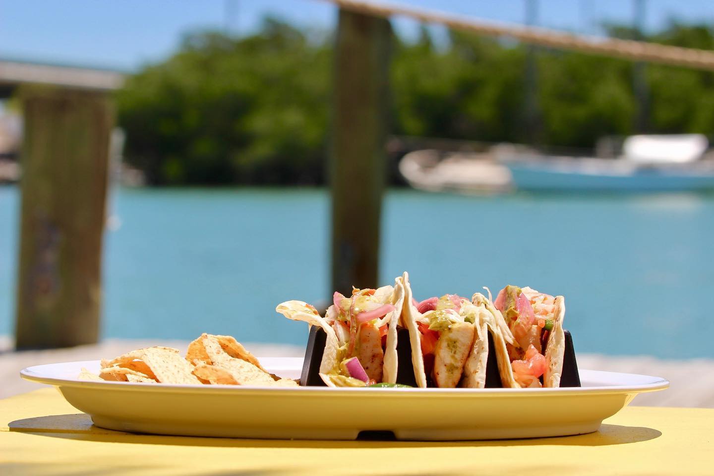 73309550_10157101254851583_3751541305383002912_n