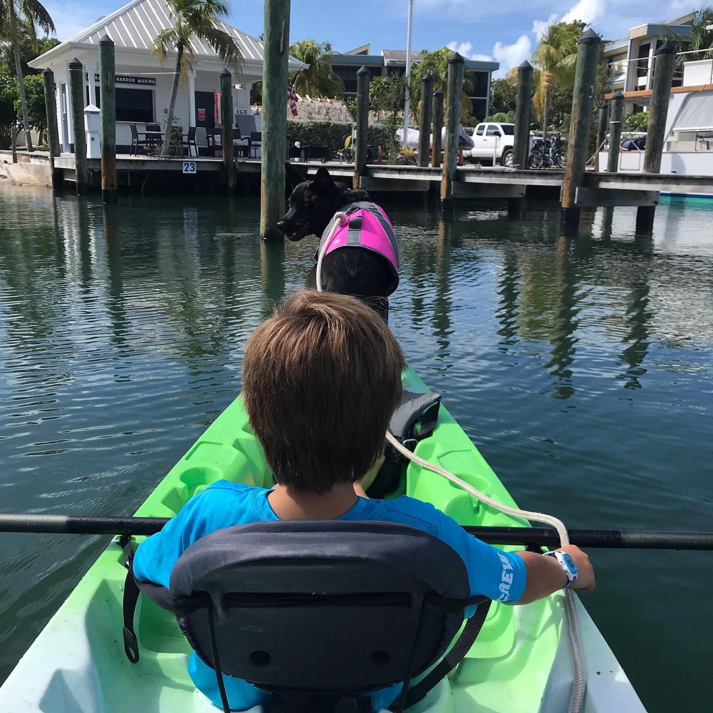 73513745_2559058434181050_8580698754456223744_n