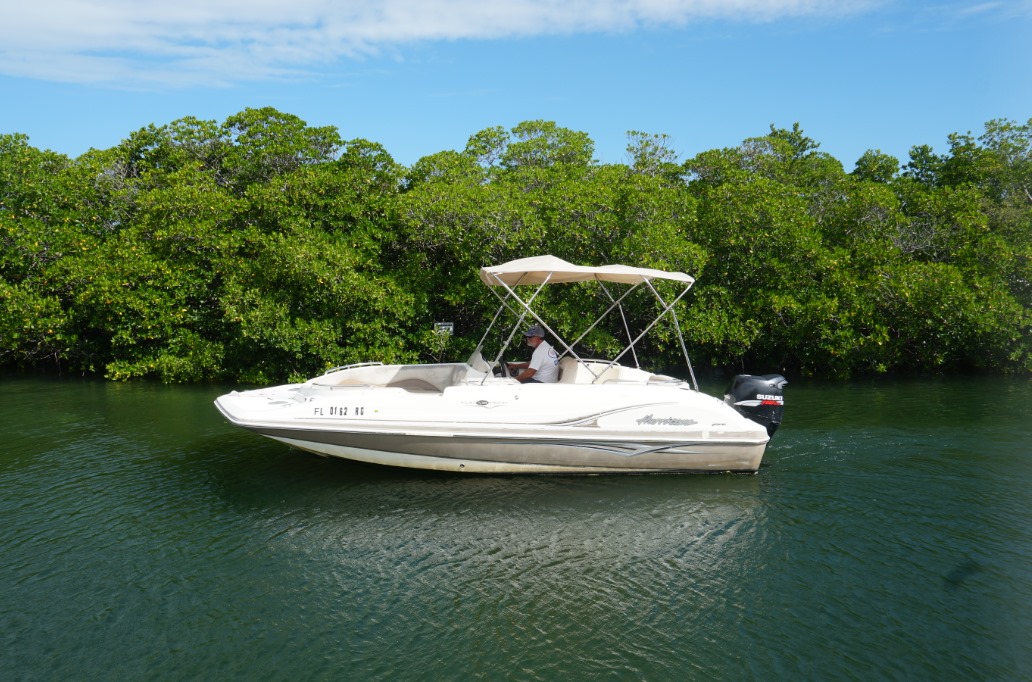 74238806_1521267524697380_6353344275417137152_n