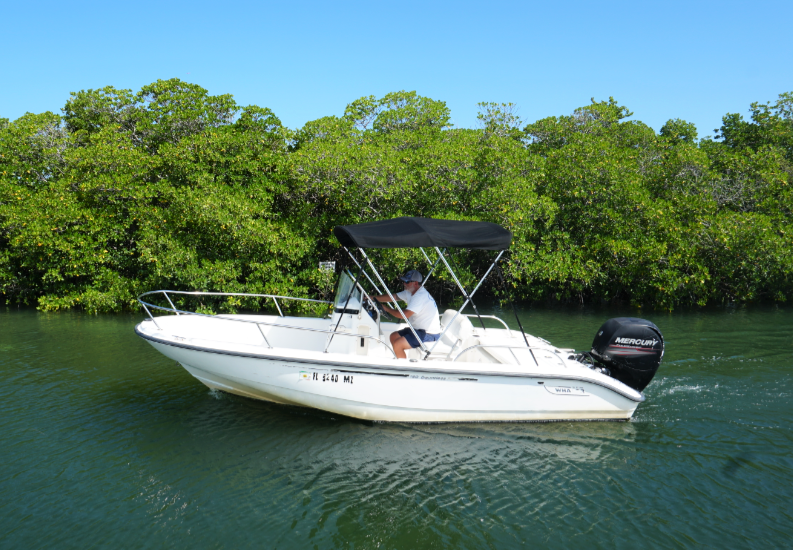 74318823_1521267478030718_6664204898675982336_n