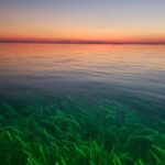 76605047_2655458417851397_5006141196486049792_n