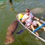 76778259_2541818375871605_2614144068187324416_n