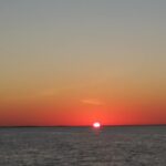 78133904_2568170986611693_2537458634003054592_n