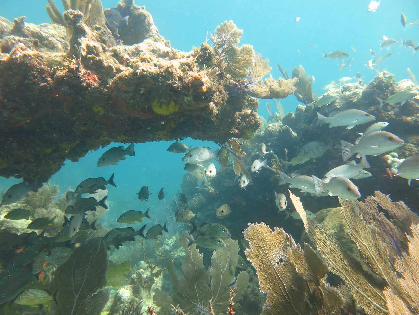 7eba47_9080ce56da37484184904d2830d93ceb_mv2_d_4000_3000_s_4_2