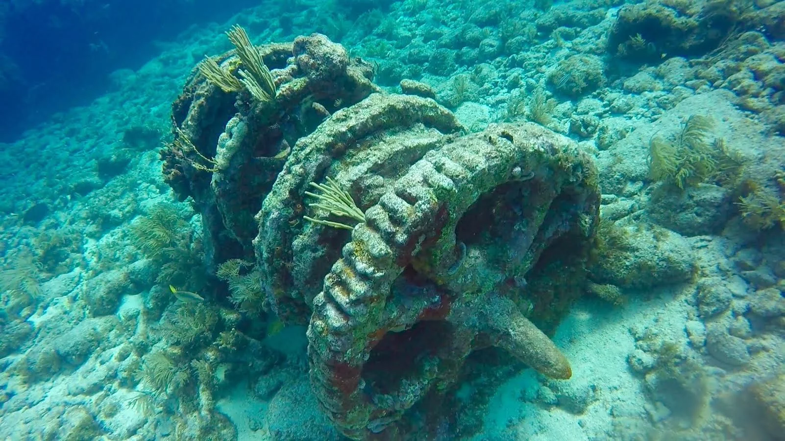 7eba47_9a56e18a7f134a3589d2d5d88bc0c185_mv2