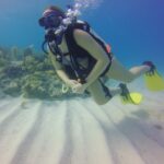 81573787_2709155125838046_720339648458522624_n