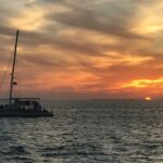 81721499_1594657210691744_8776108122767884288_n