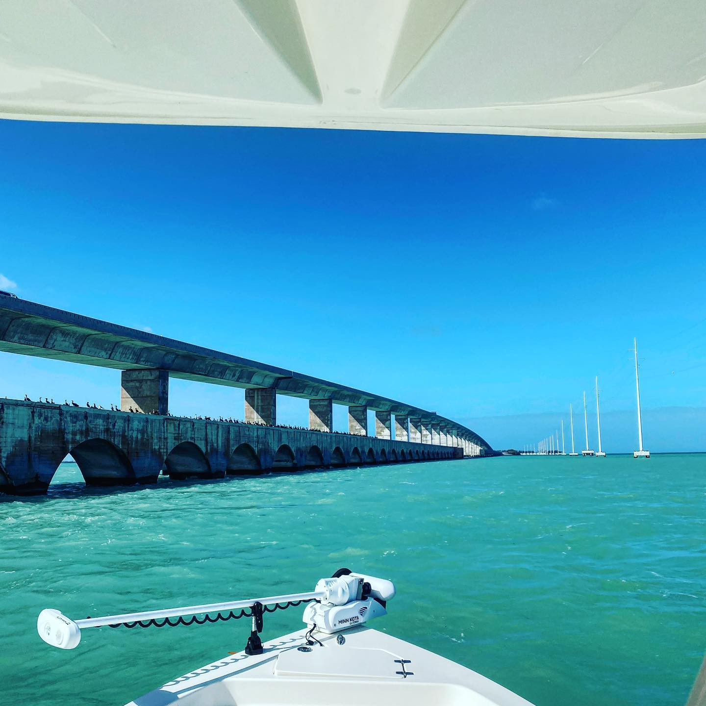 82580967_1333219020216995_8665321369807880192_n