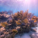 90148004_3172812072752824_7029770821031690240_n