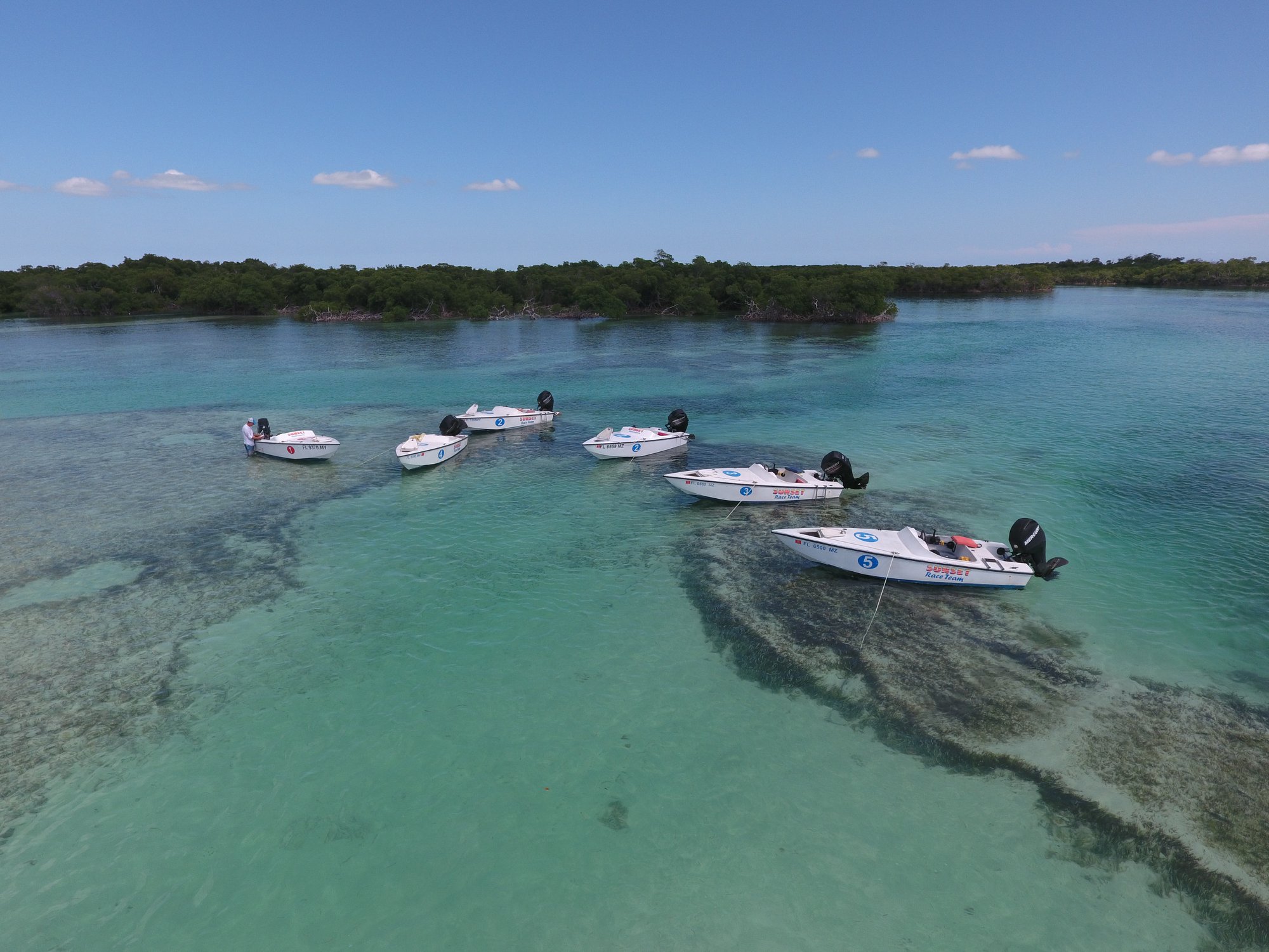 90172194_1669359489888182_4219944662699343872_n