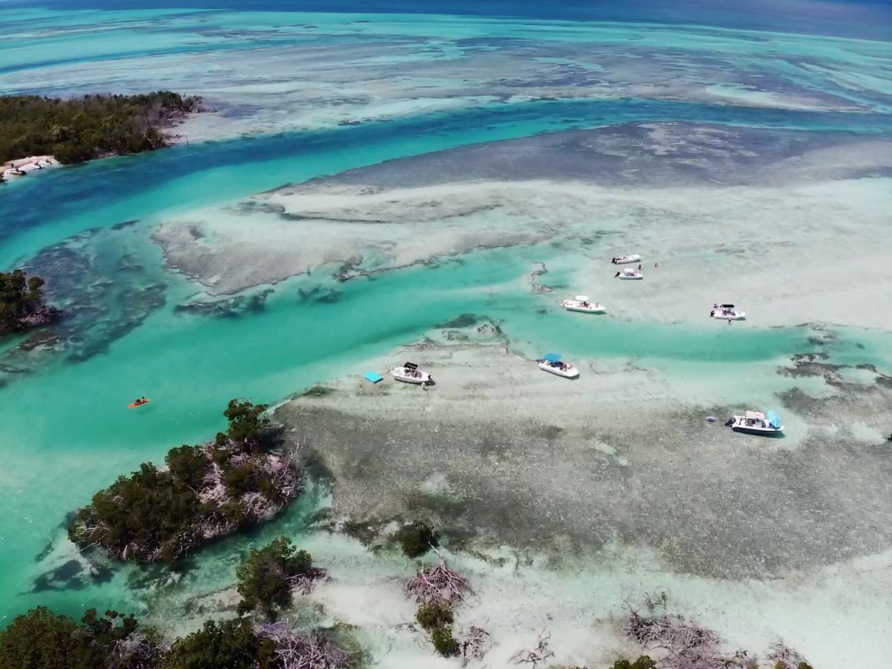 96235232_1719935674830563_4934233733029953536_n