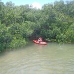 971981_365021136943106_1235015292_n