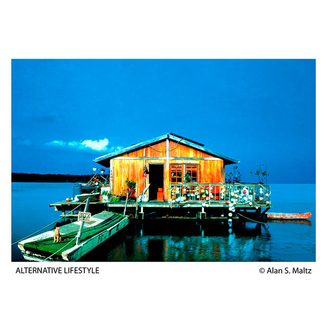 AMaltz_AlternativeLifestyle