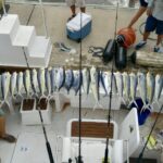 Boat+captain+for+My+Blue+Water+Adventures+Fishing+Charters-Key+Largo+Florida-1920w