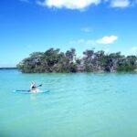 ClearlyUniqueCharters1