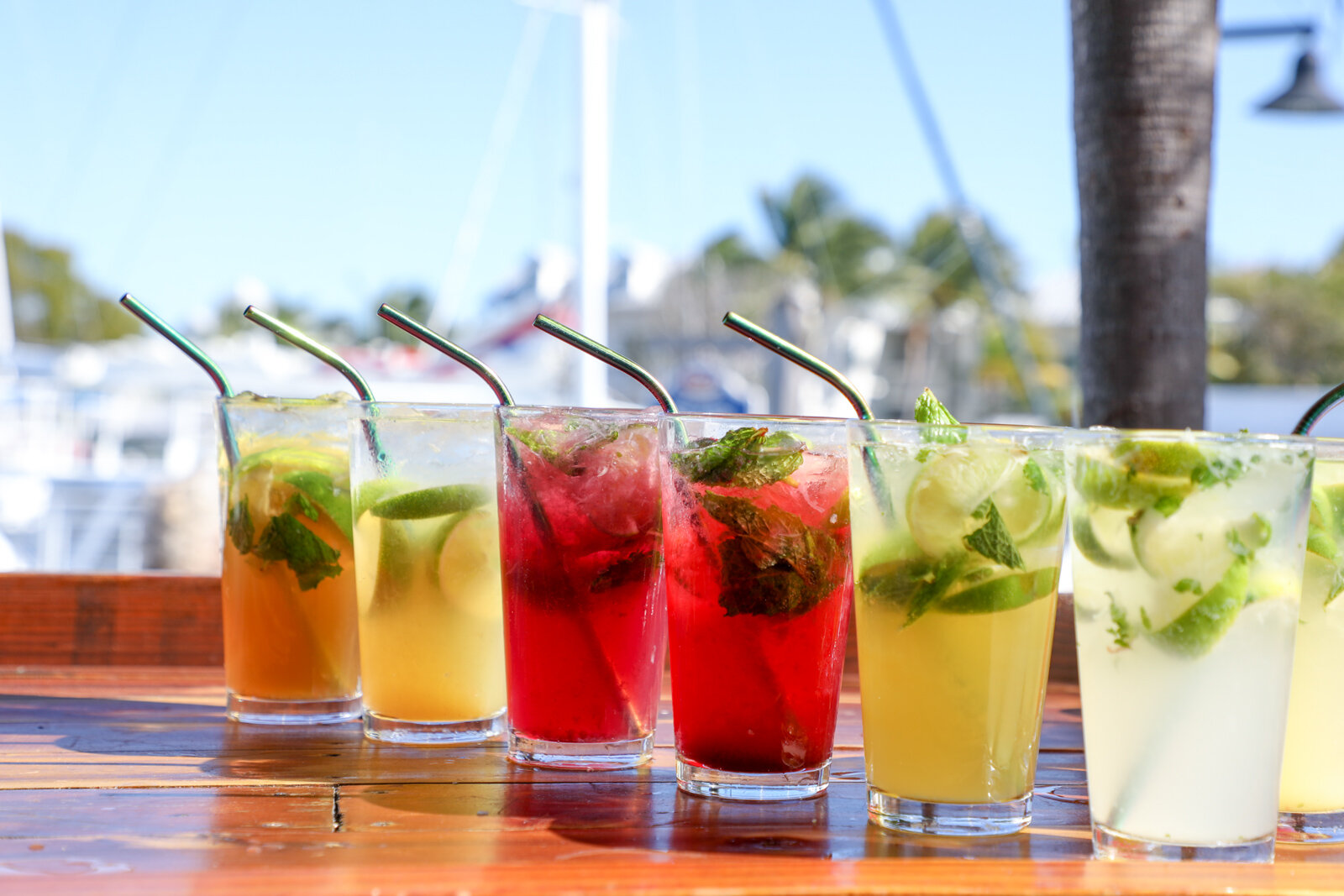 Conch-Republic-Seafood-Company_1.28-36