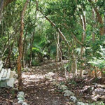 CranePoint_Trail_App